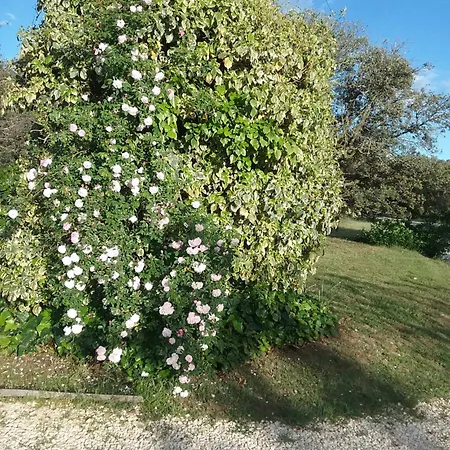 Du Berger 3*
