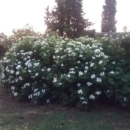 Du Berger